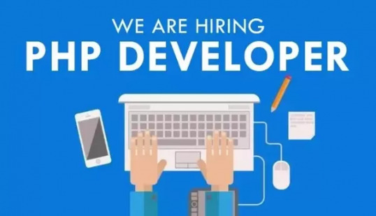 Back-end Developer